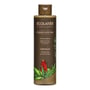 ECOLATIER Balzam za kosu Organic Aloe Vera, 250 ml | VESNA.RS