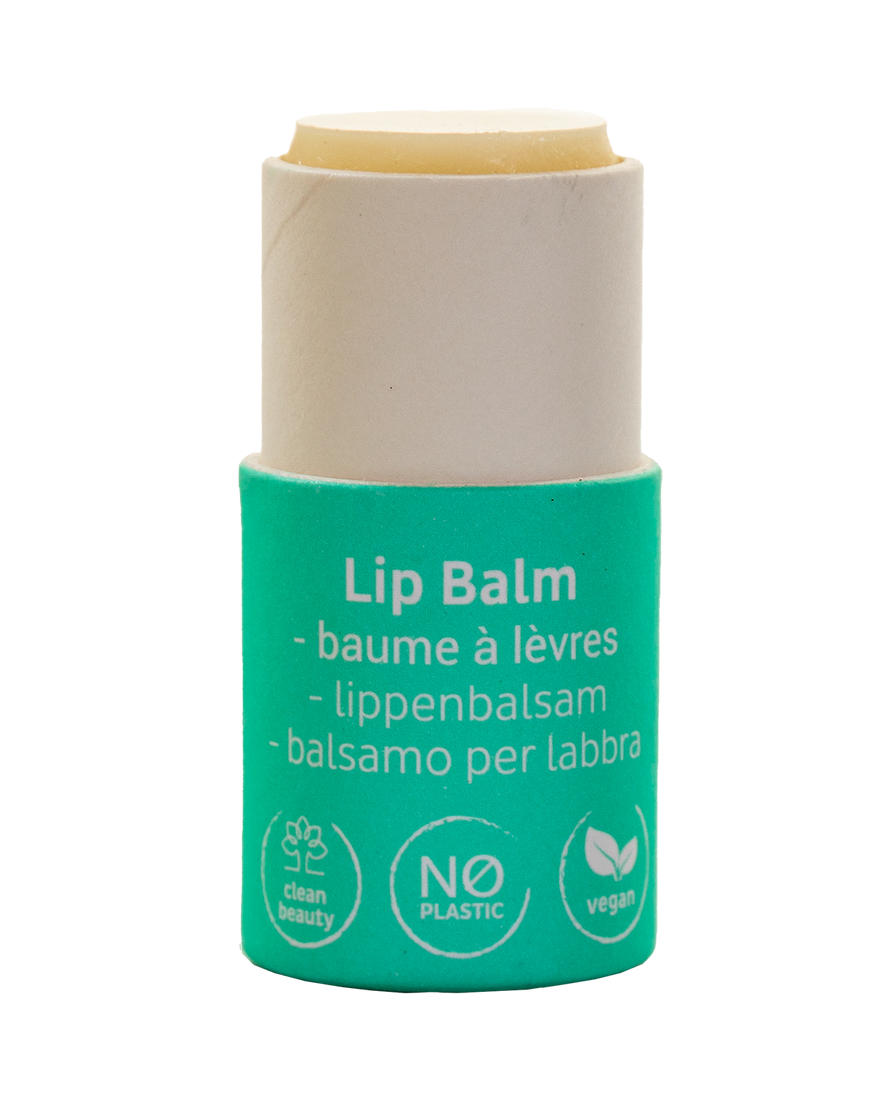 Beauty Made Easy Balzam za usne WATERMELON | VESNA.RS