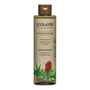 ECOLATIER Šampon za kosu Organic Aloe Vera, 250 ml | VESNA.RS