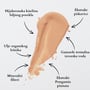 Gamarde Anti-age DD krema Spf 30 , 40 ml | VESNA.RS
