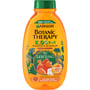 Garnier Botanic Therapy kids Apricot 2U1 dečiji šampon i balzam | VESNA.RS